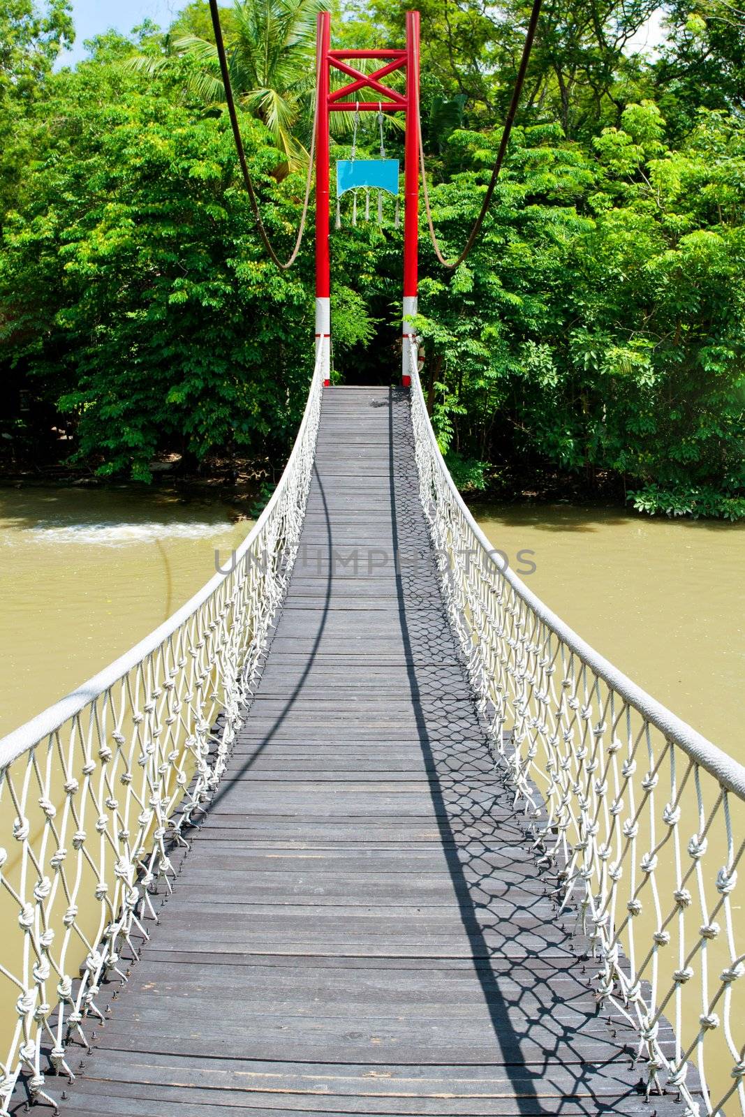 Rope walkway through the treetops in forest