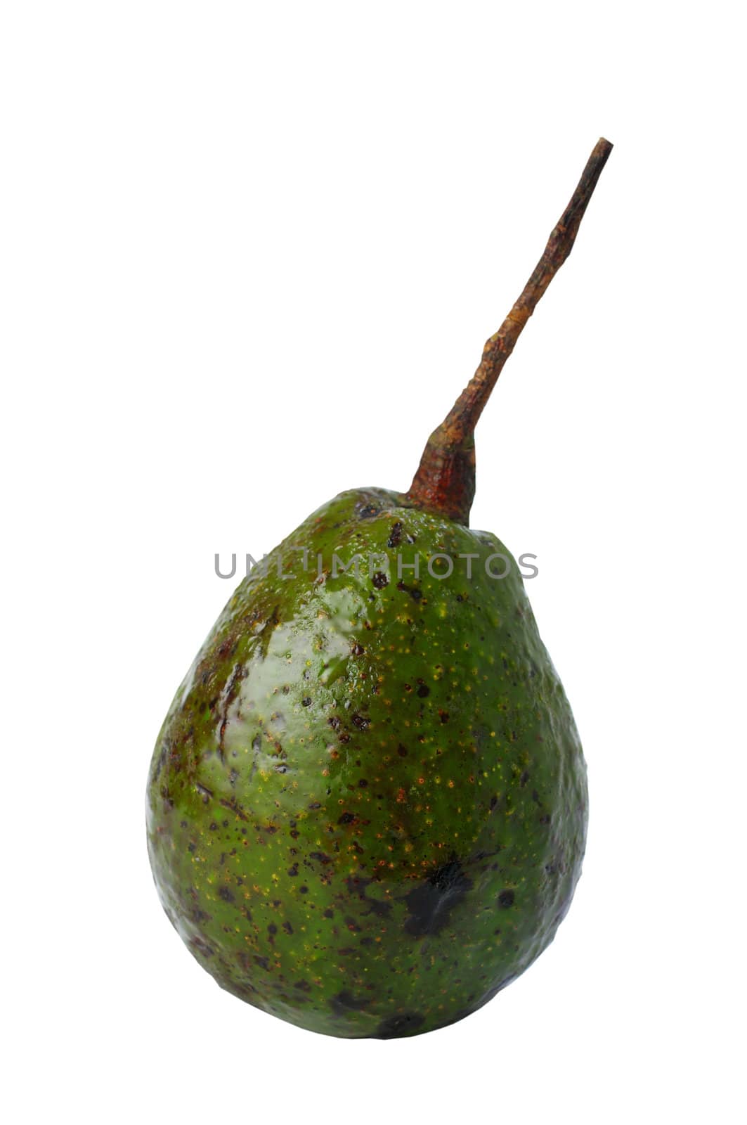 Avocado on white background, Fruit isolated