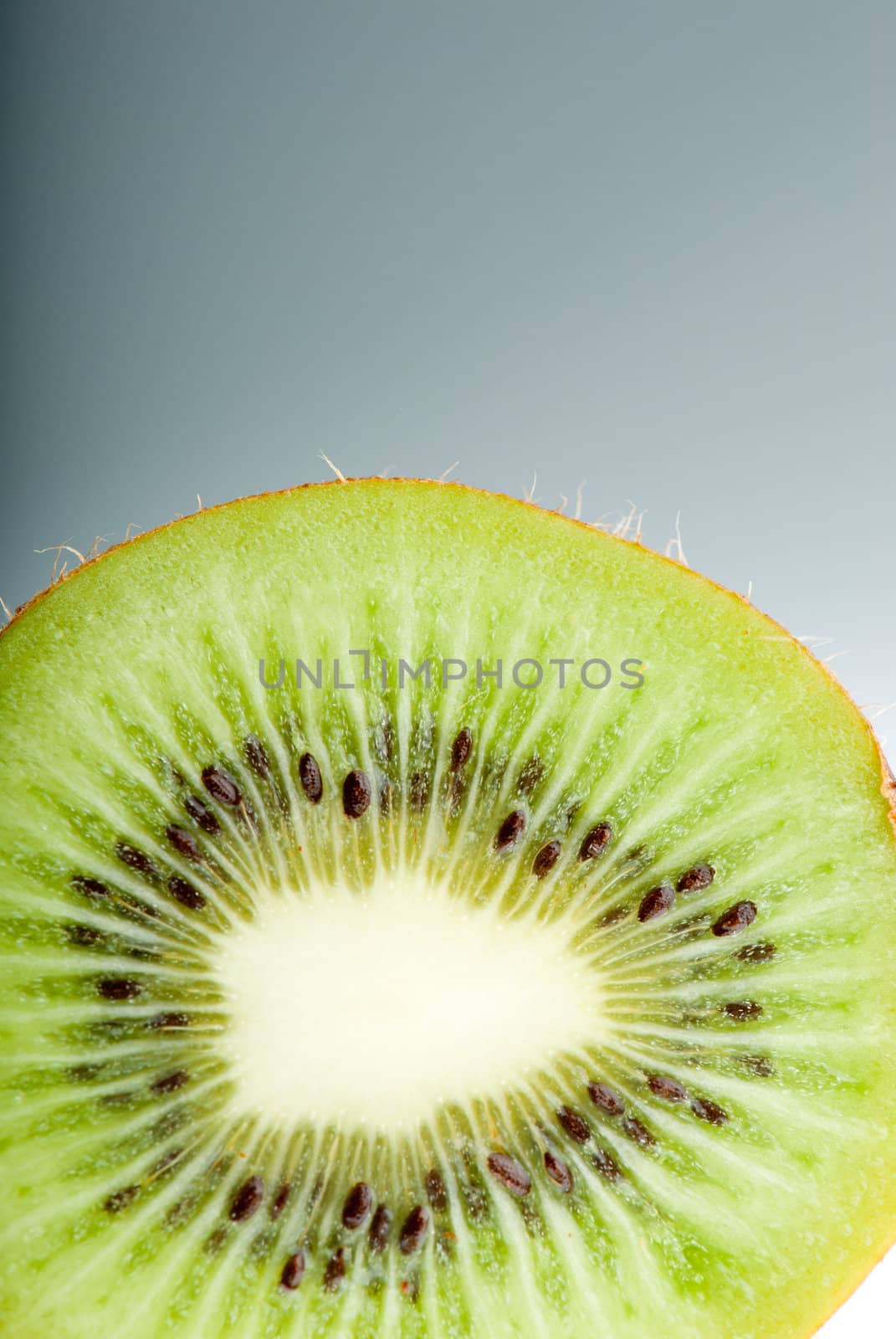 Slice of kiwi closeup side lighting focus control