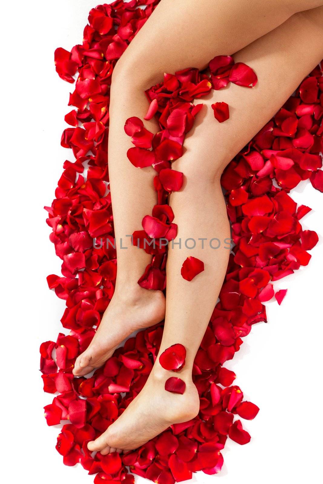 Beautiful body and legs of woman against petals of red roses with flower