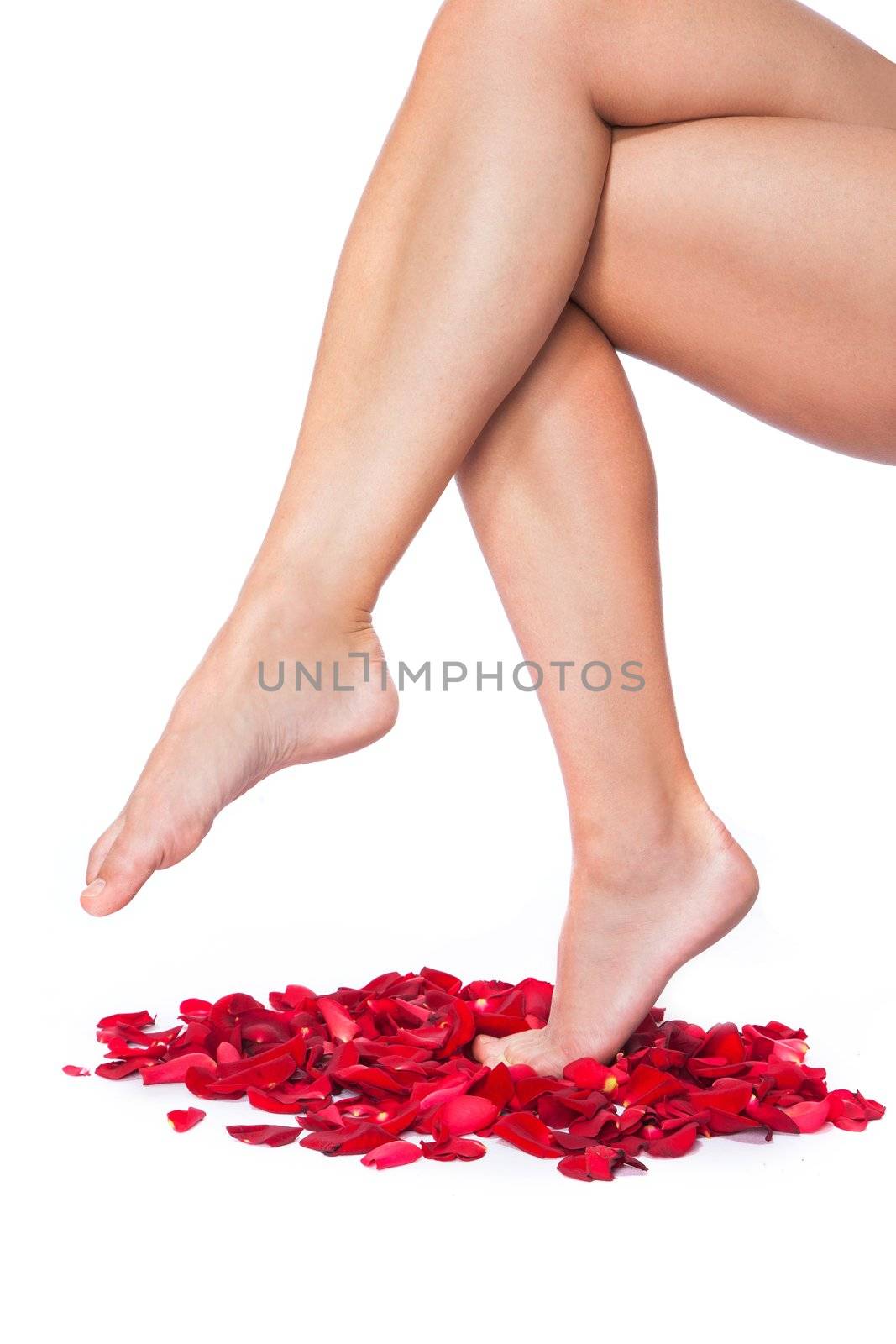 Beautiful body and legs of woman against petals of red roses with flower