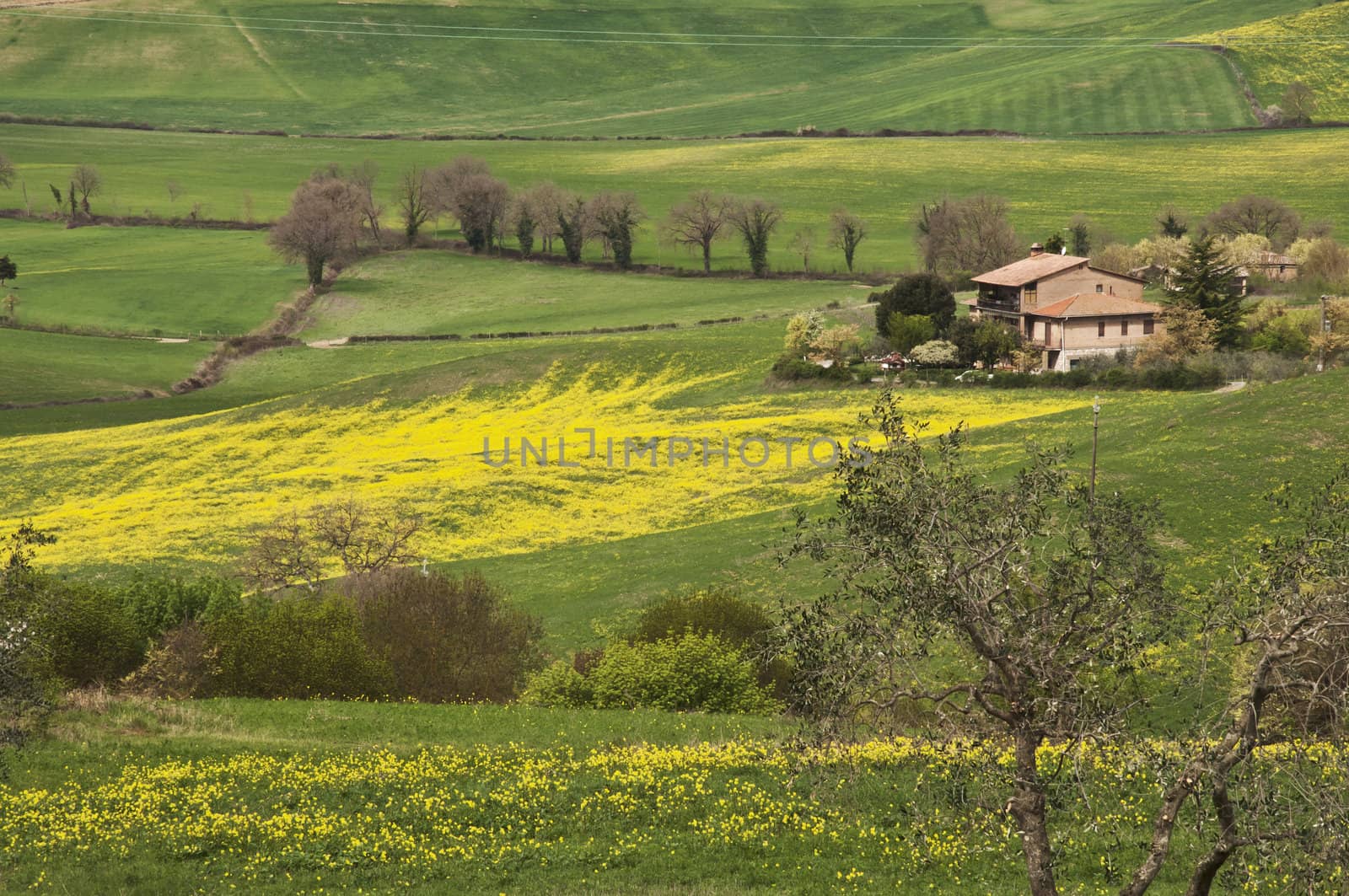 farmland and countryside in Chianti, Tuscany, Italy