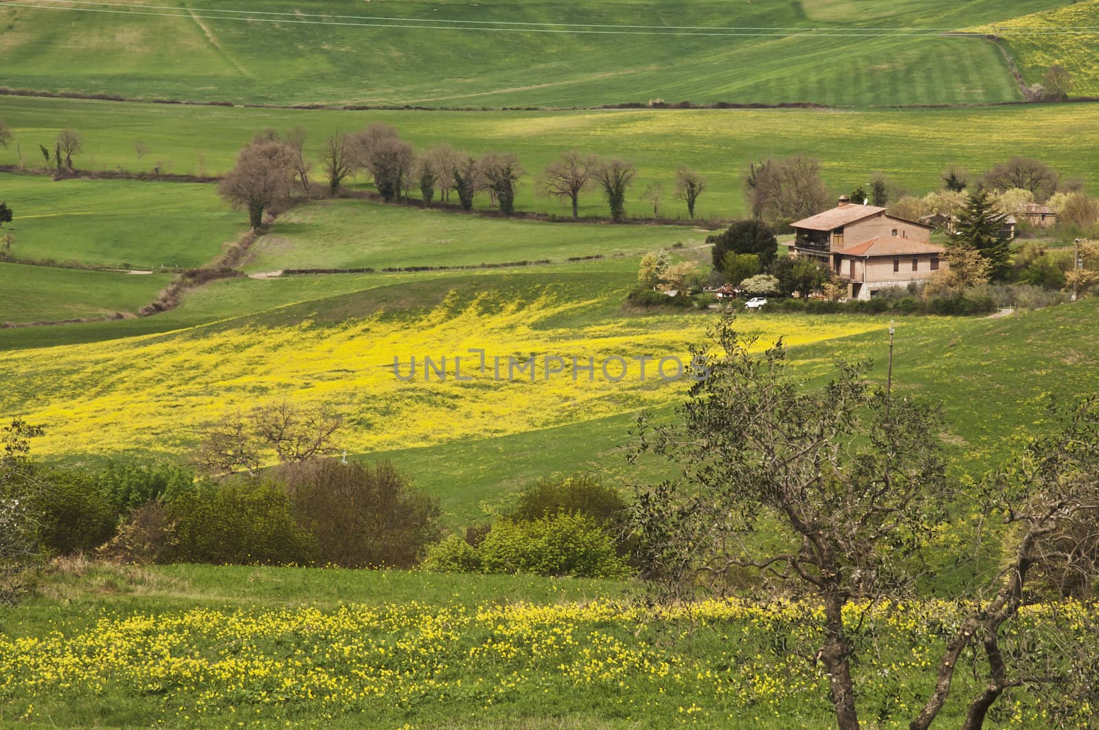 farmland and countryside in Chianti, Tuscany, Italy