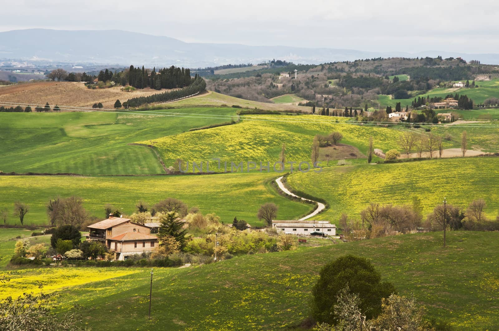 farmland and countryside in Chianti, Tuscany, Italy