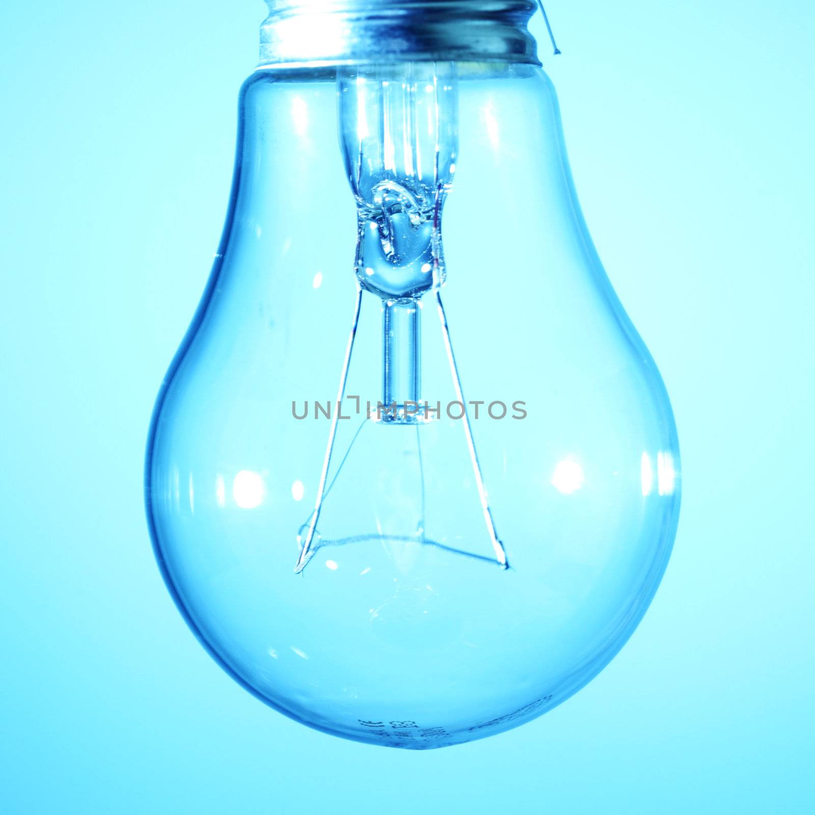 energy bulb macro close up