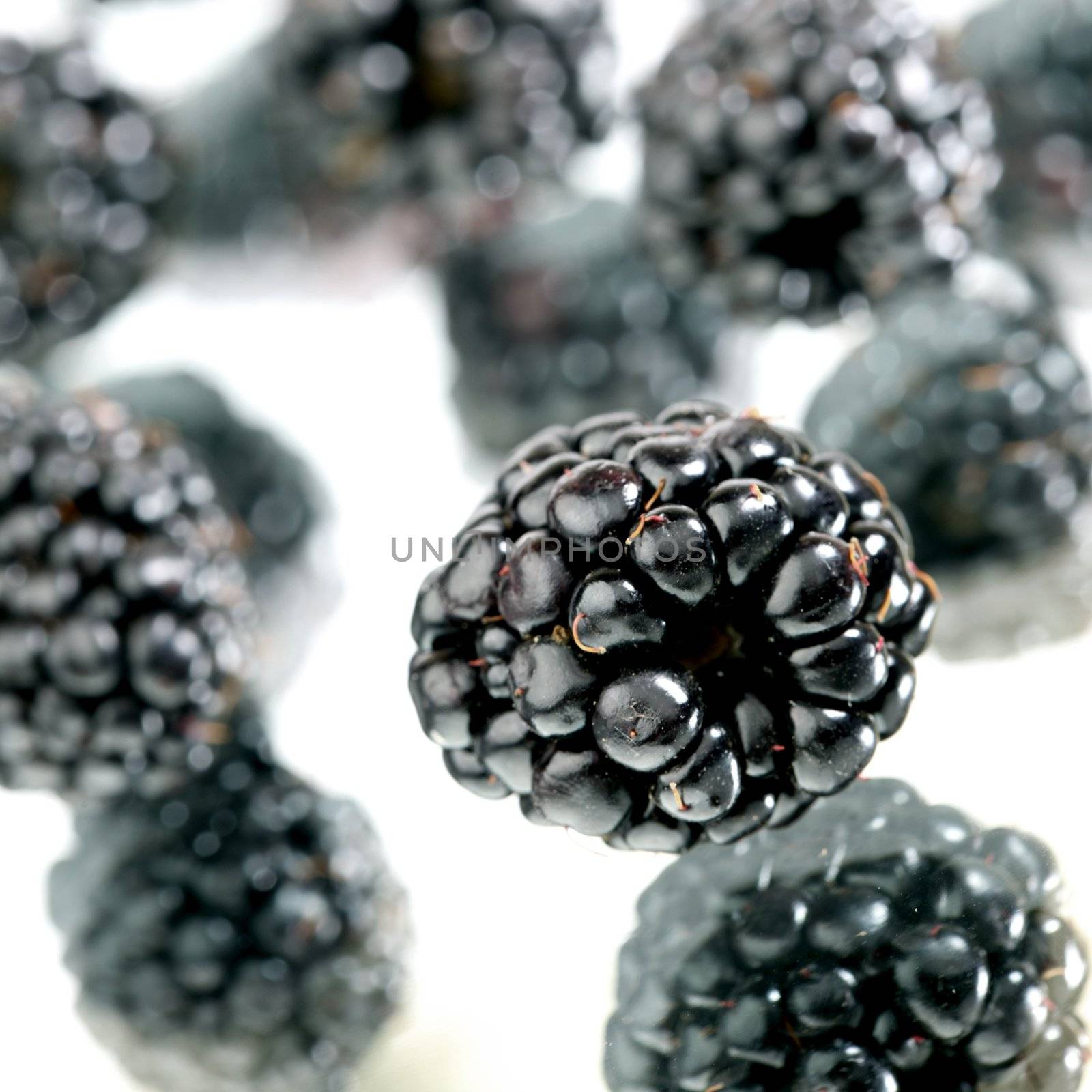 blackberry  isolated on white background