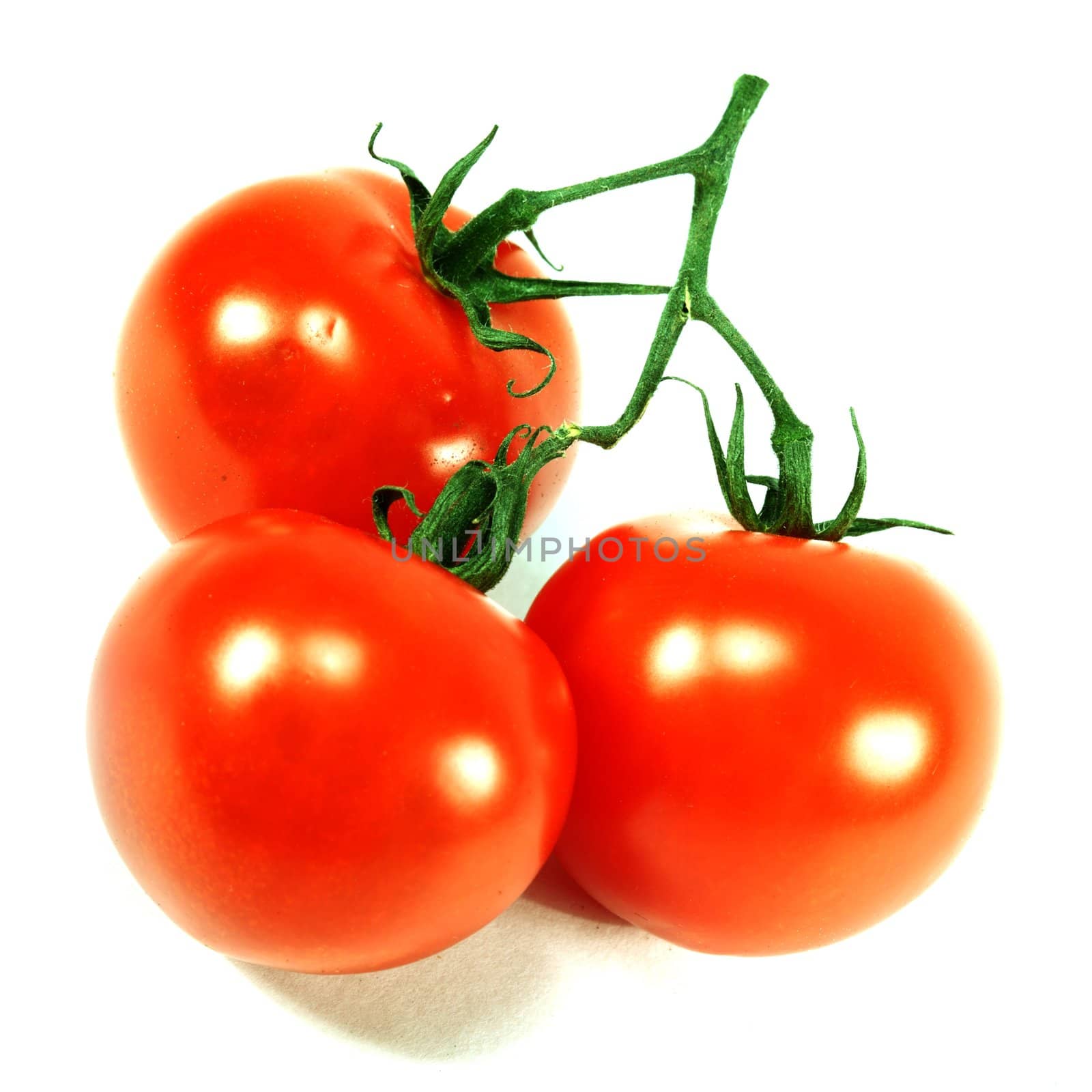 tomato isolated on white background