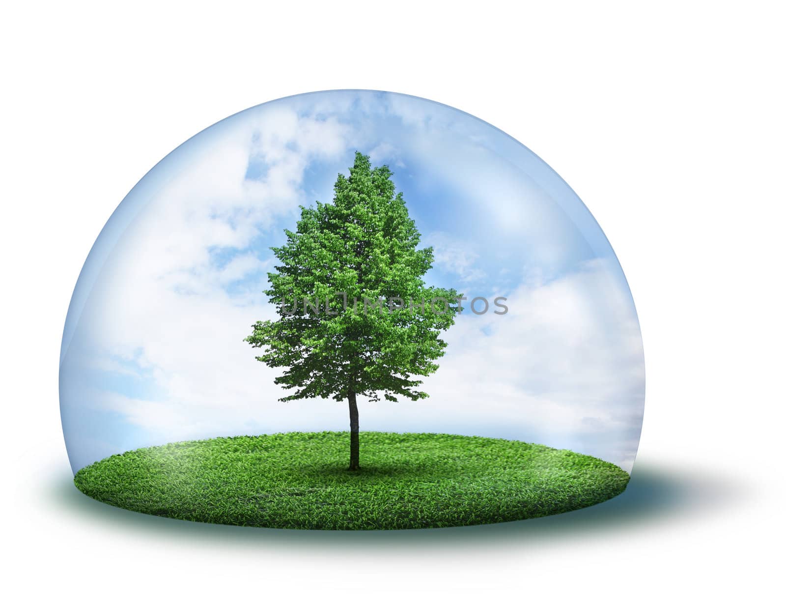 Green tree and grass in glass cupola, isolated on white background