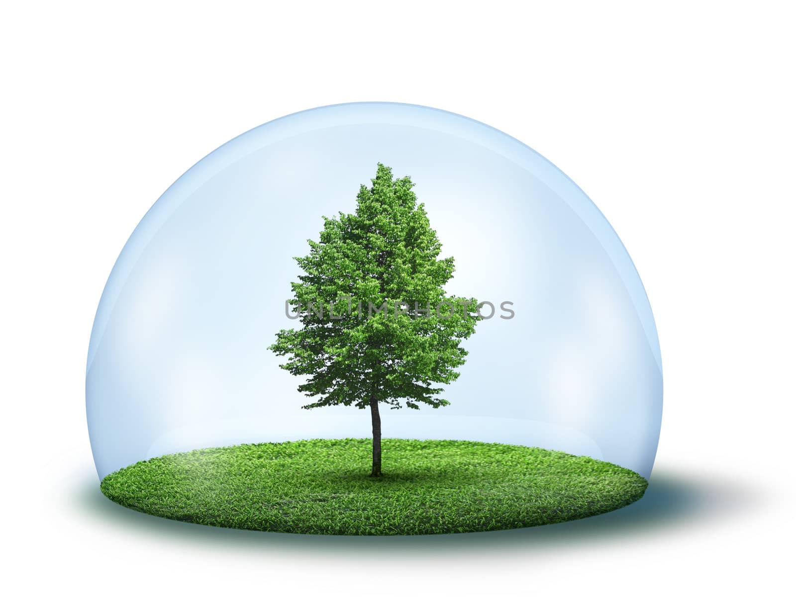 Green tree and grass in glass cupola, isolated on white background