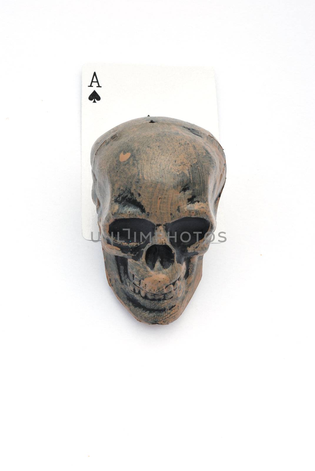 Skull with card by pauws99