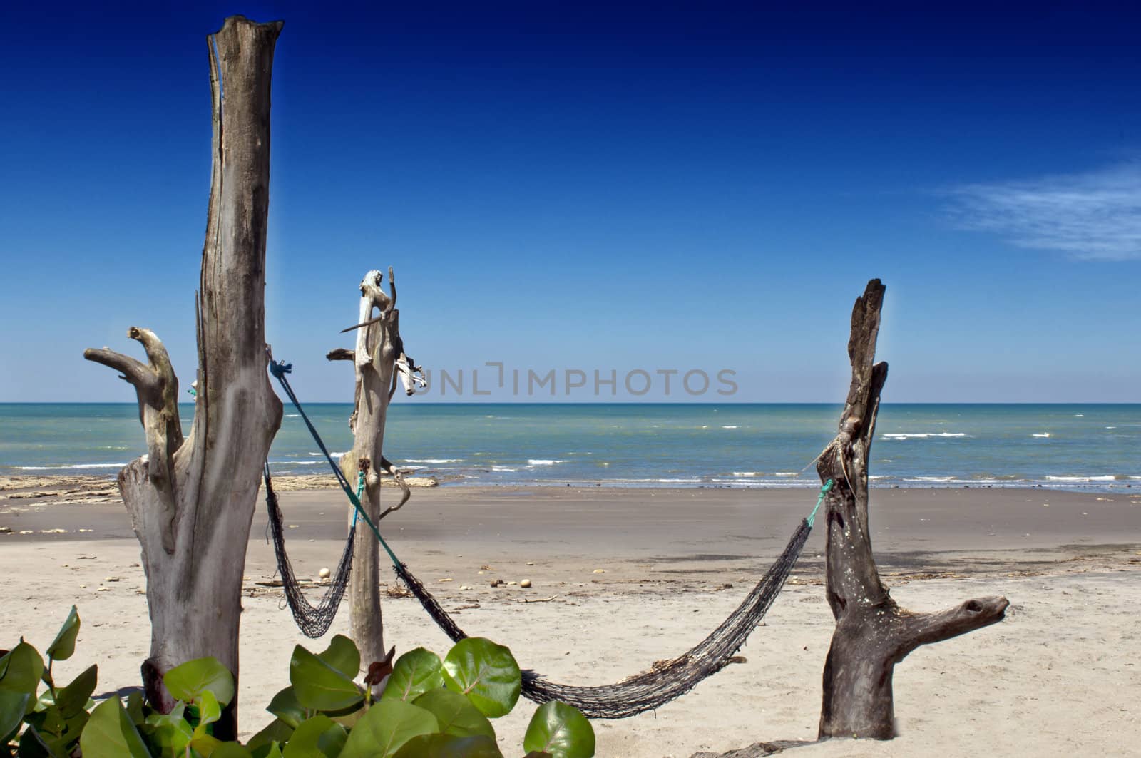 Hammock on a deserted beach  by carla720