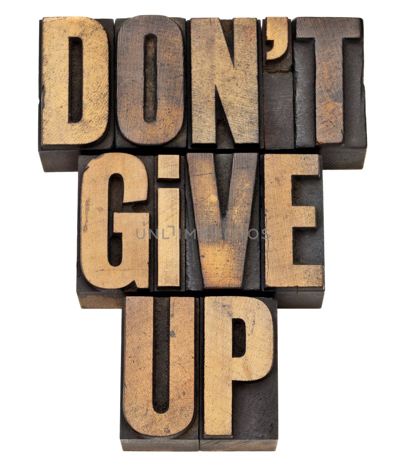 do not give up - motivation concept - isolated phrase in vintage letterpress wood type