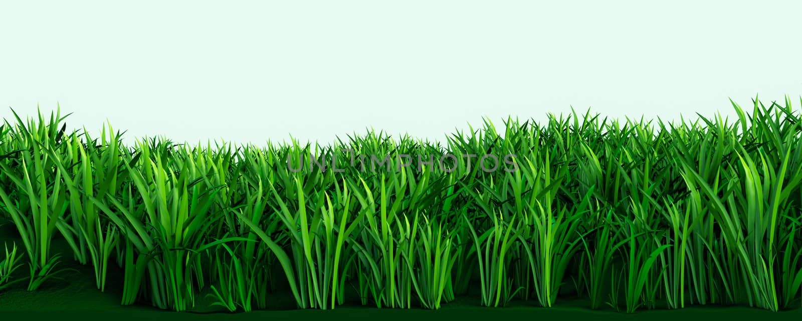High green grass on a light background, 3d render.