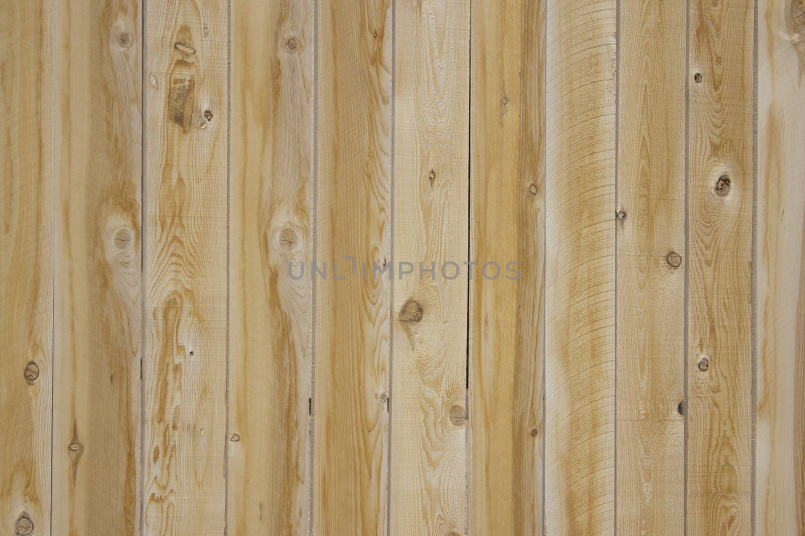 pine wood blank background