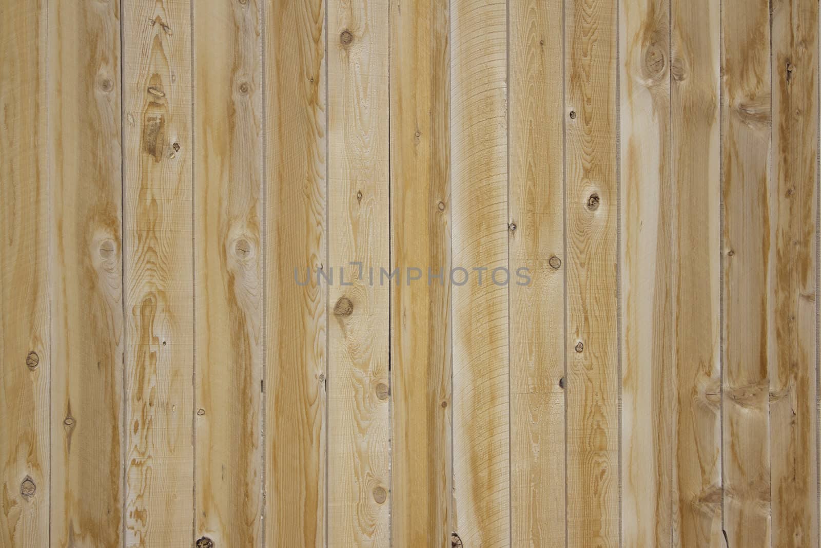 pine wood blank background