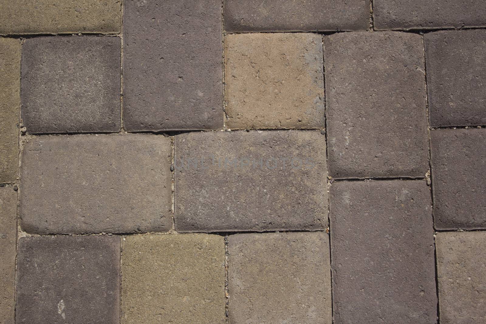 Paver stone walkway by jeremywhat