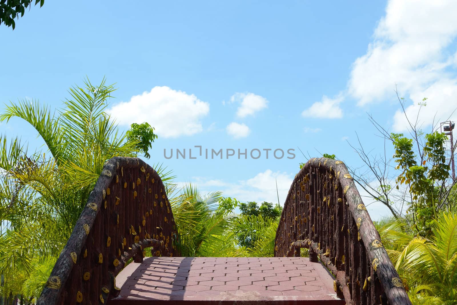 small foot-bridge in the middle of a garden.