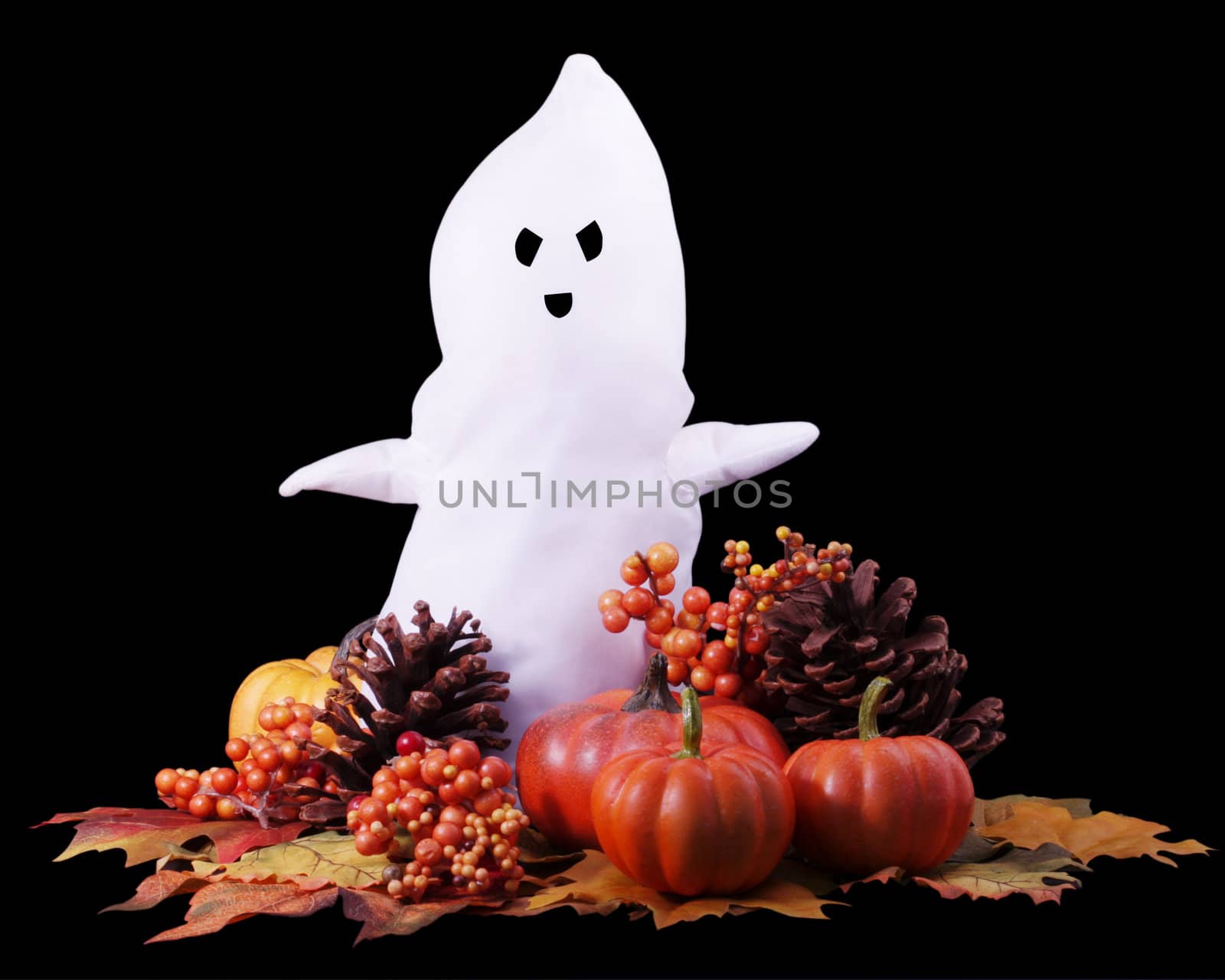 A fall or halloween scene with autumn colors, pumpkins, leaves, and pinecones, with a white ghost isolated on black