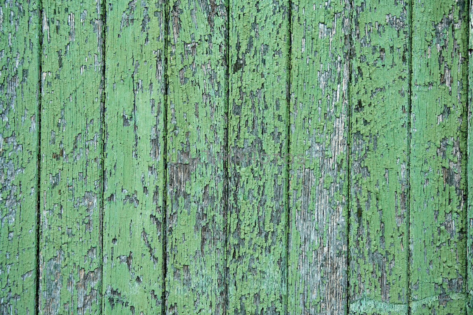 A green weathered wooden Background