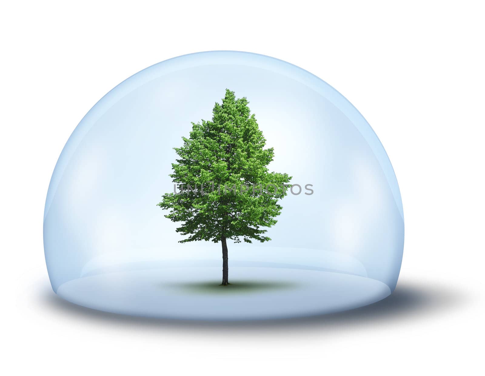 Green tree in glass cupola,  environmental concept