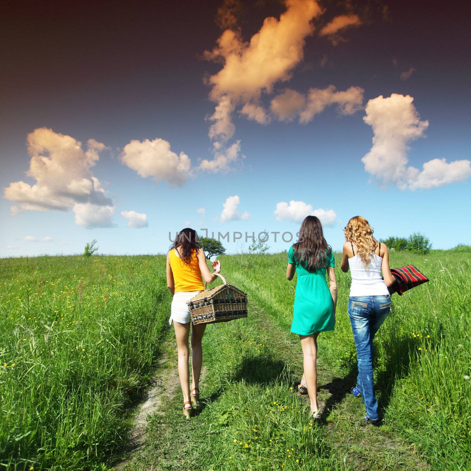 very fun girlfriends on picnic 