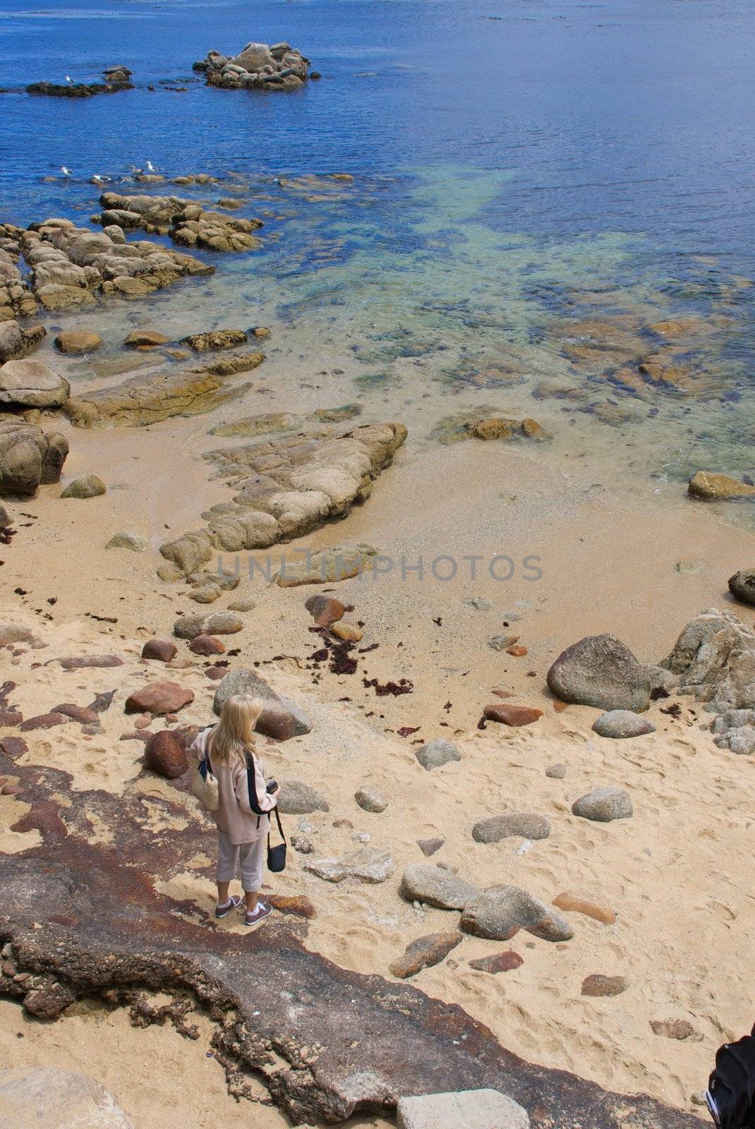 A tourist standing in a section of the rocky coastline in Monteray Bay, California