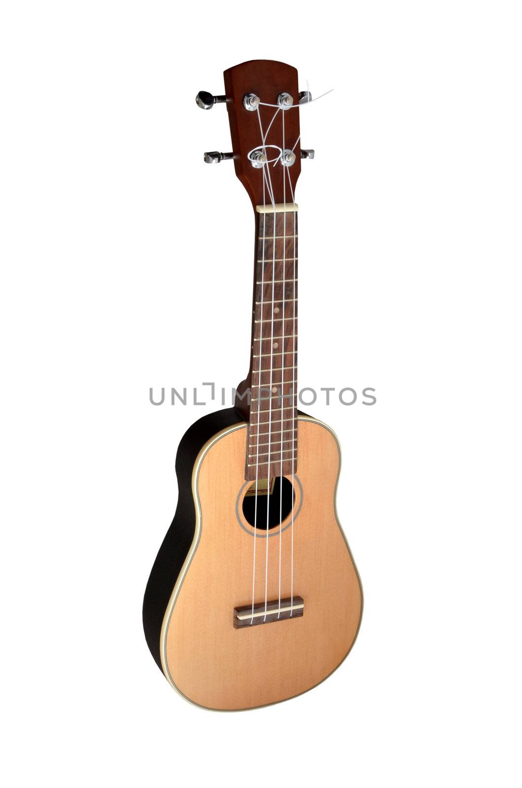 Ukulele on white background by pixbox77