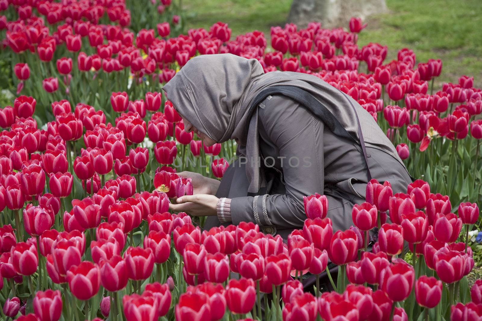 Muslim girl among tulips by ABCDK