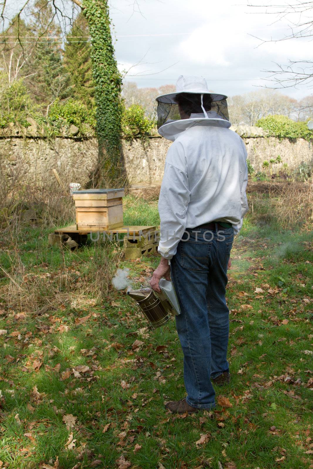 A man in protective clothing with smoker in hand looks  towards a hive on a stand.