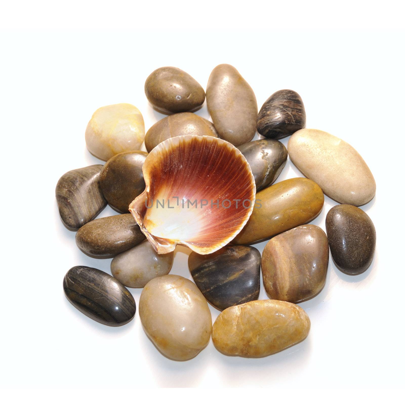 Colorful pebbles stones piled with seashell - isolated on white