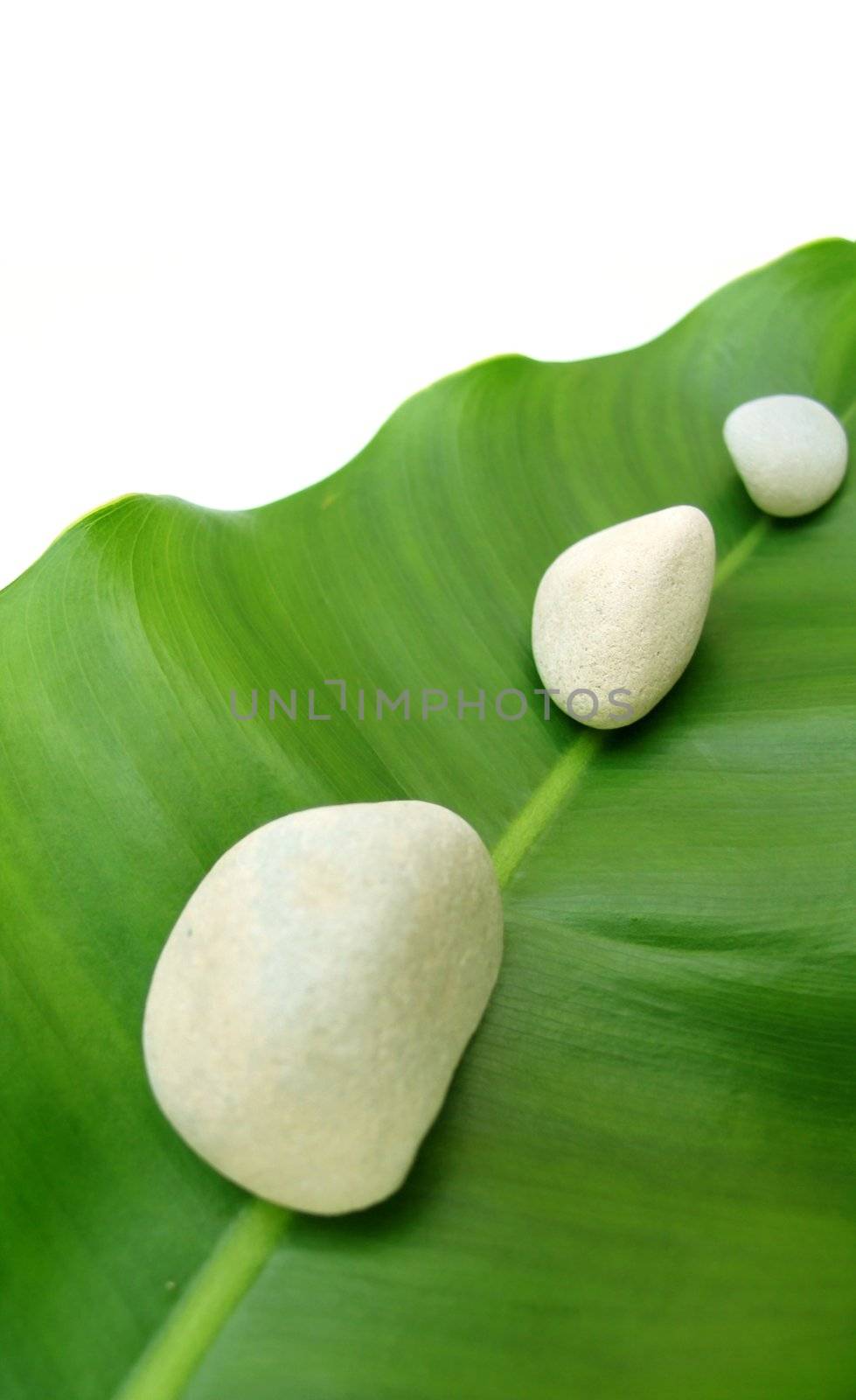 white Pebbles on green leaf by rgbspace