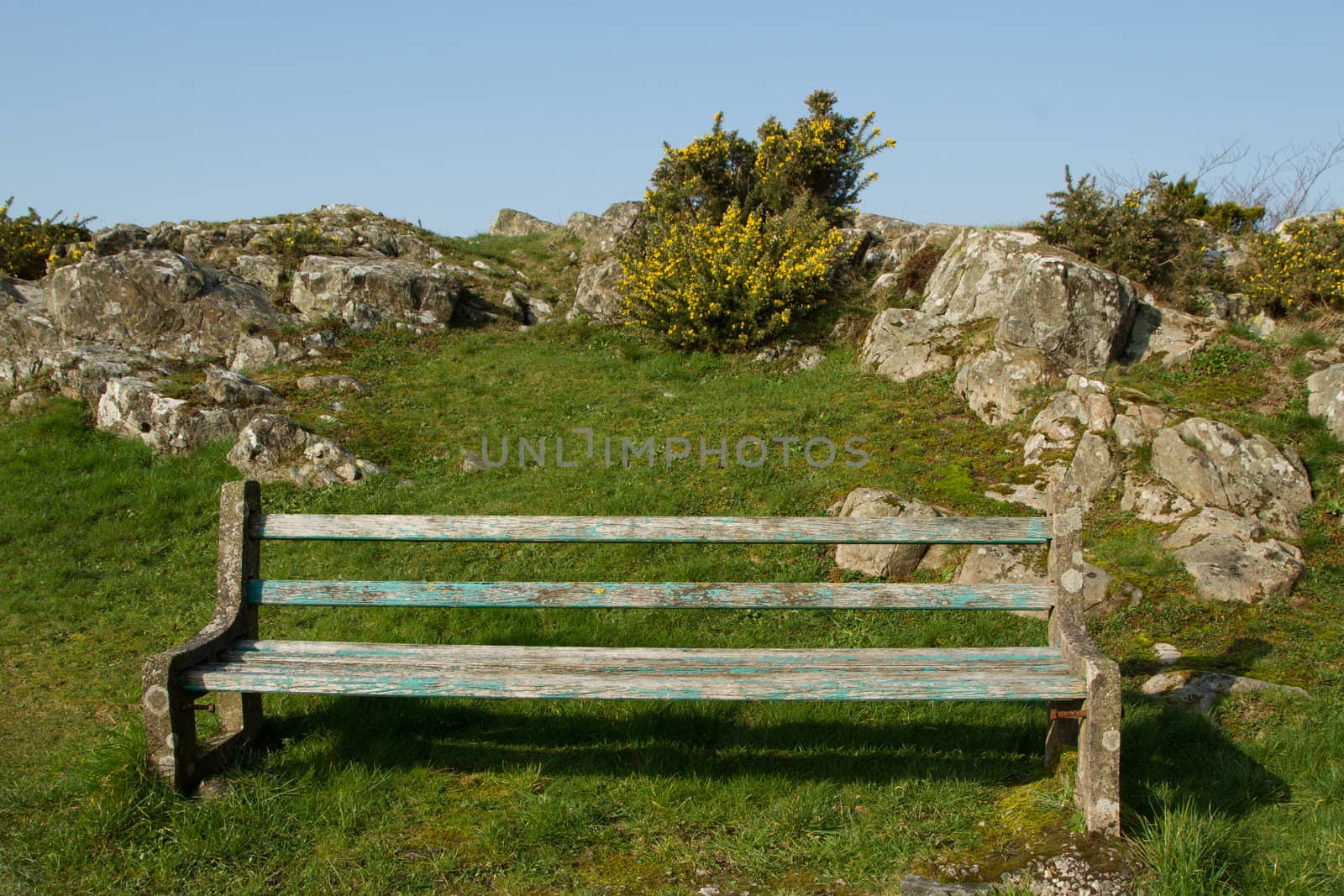 An old bench with flaked blue paint on a patch of green grass with rocks and gorse plants against a blue sky.