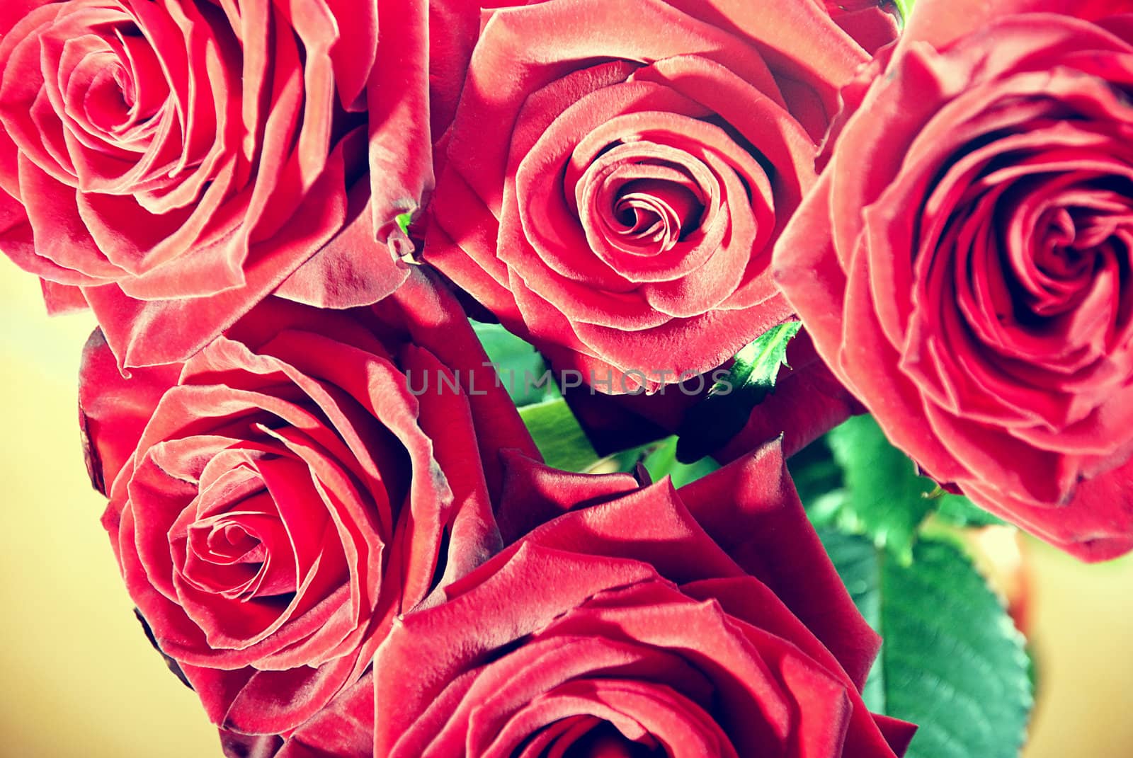 Beautiful vintage bouquet of roses close up.