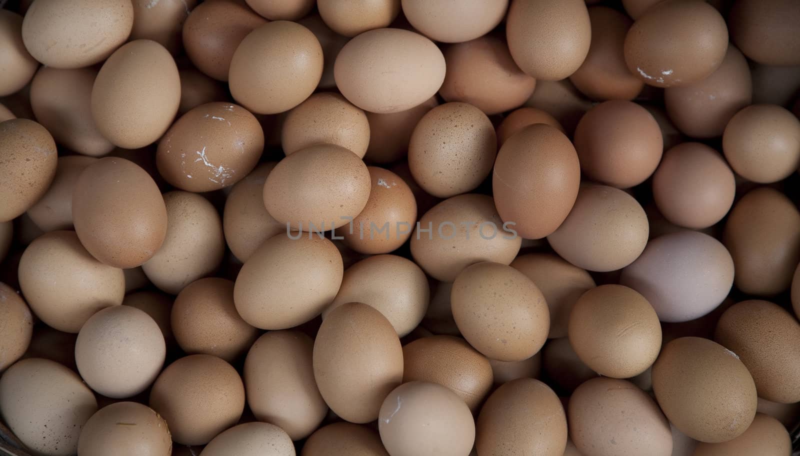 Background of eggs by ABCDK