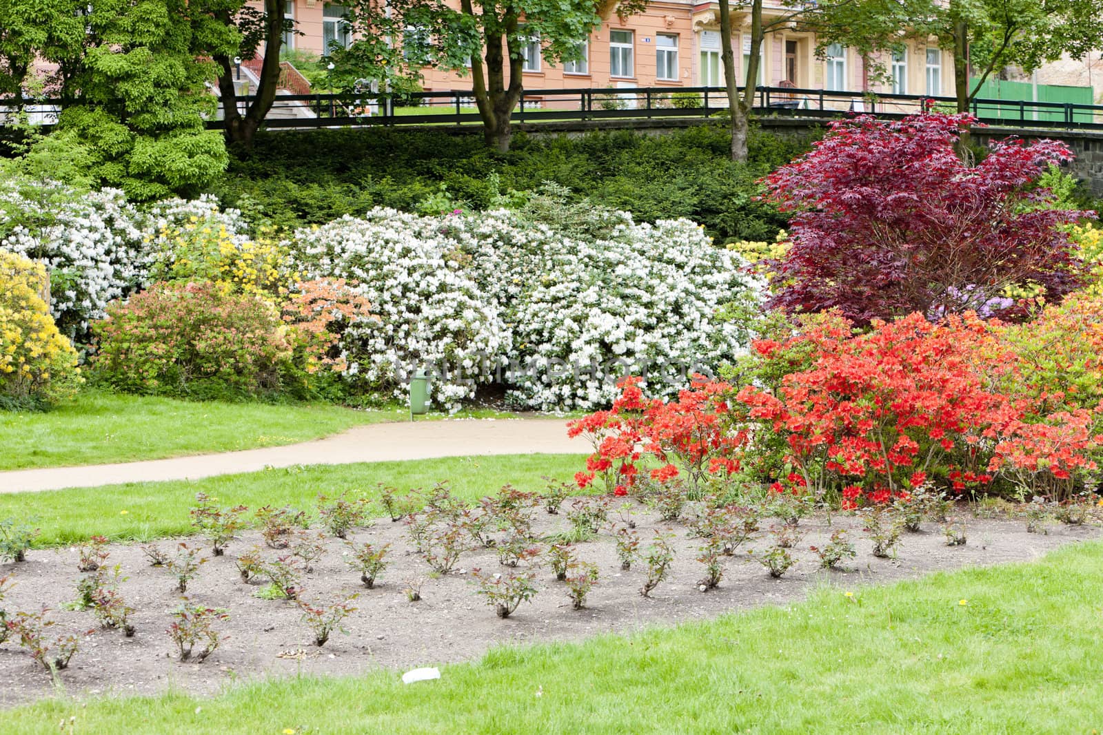 park in Karlovy Vary (Carlsbad), Czech Republic