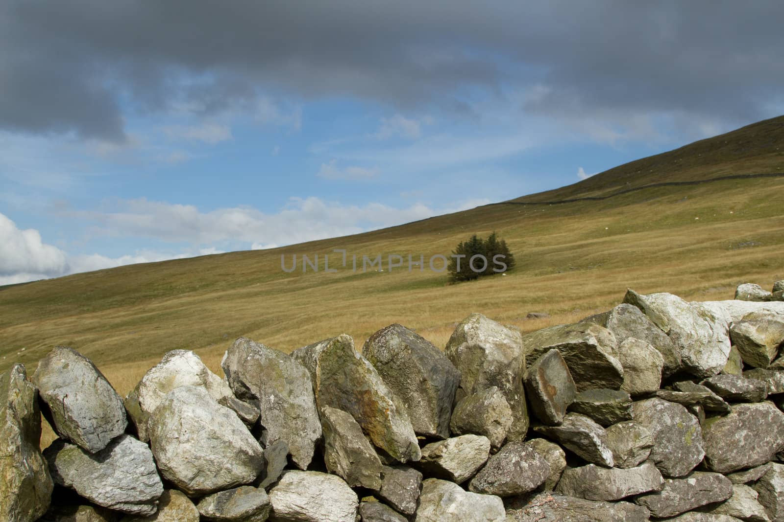 Stone wall moorland. by richsouthwales