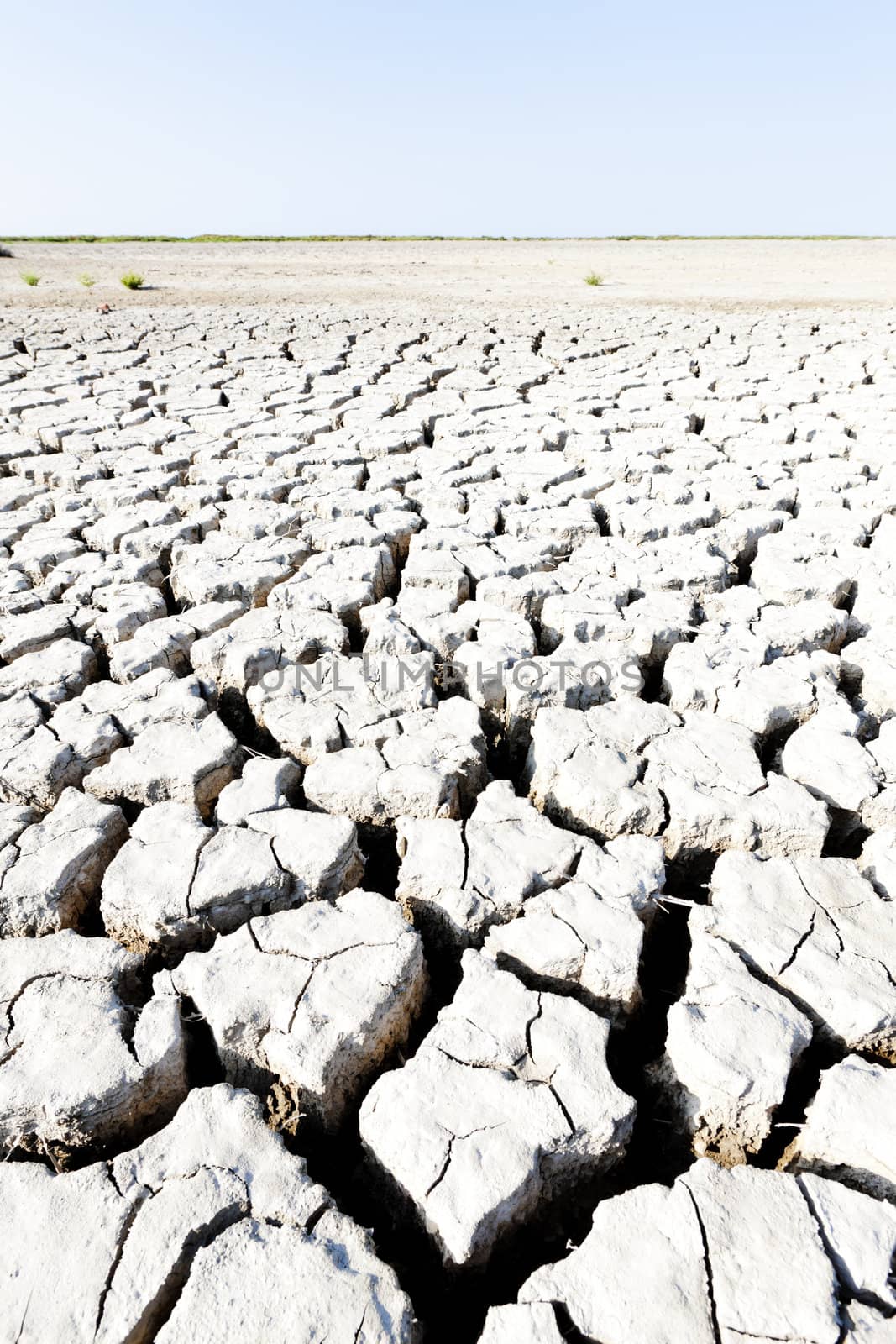 dry land, Parc Regional de Camargue, Provence, France