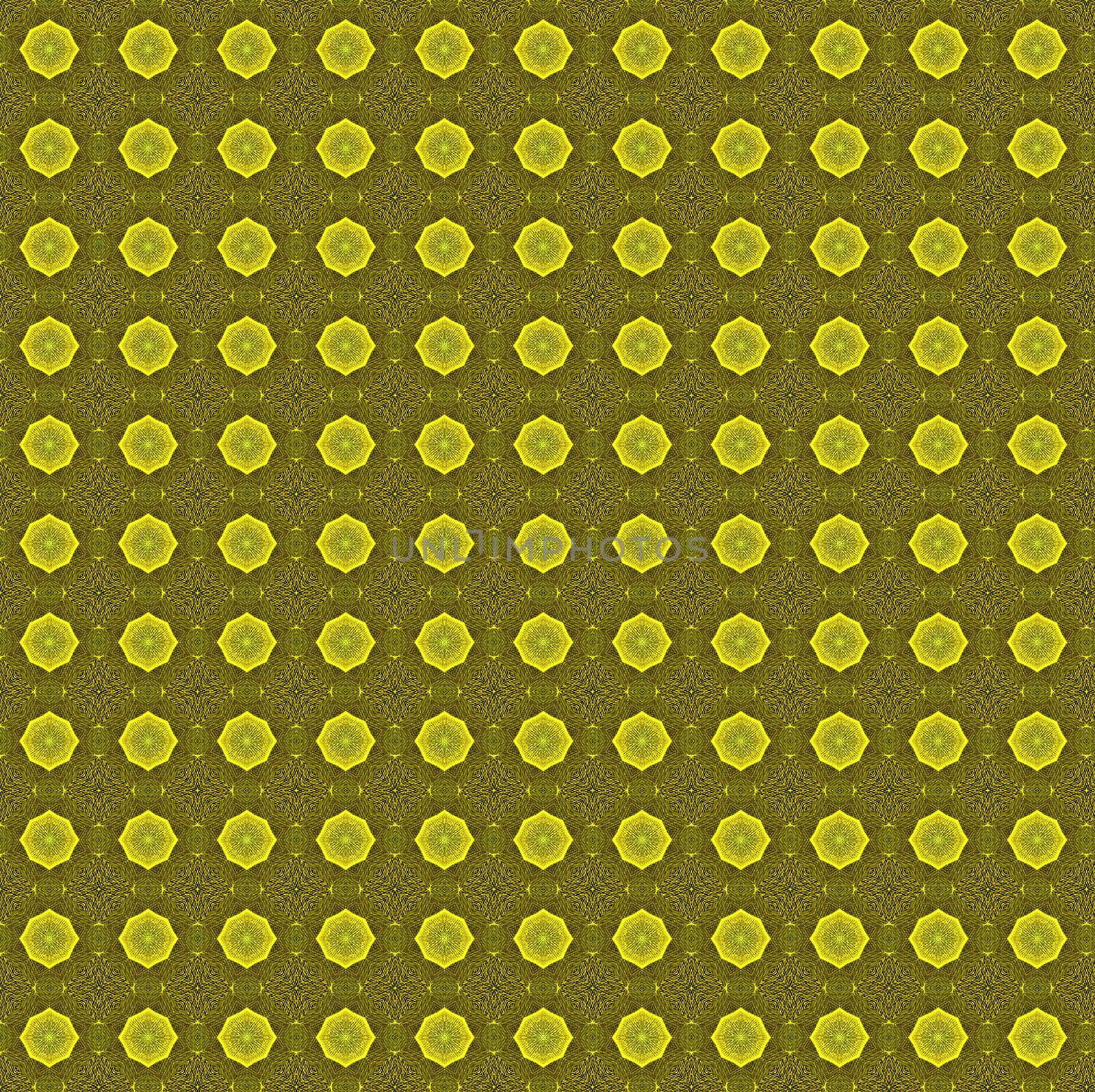 the beautiful patterned background for your design