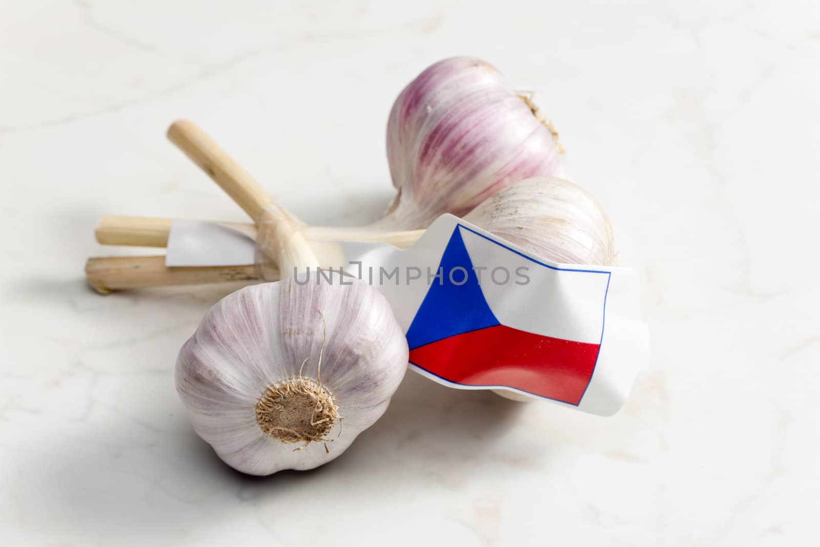 Czech garlic