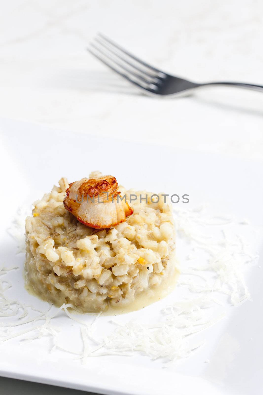 fried Saint Jacques mollusc with pearl barley risotto by phbcz