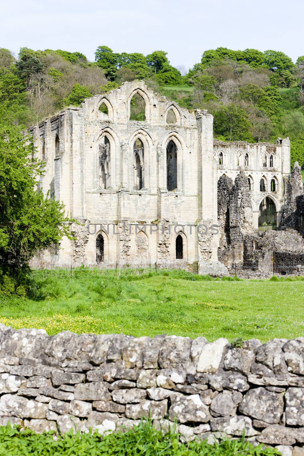 ruins of Rievaulx Abbey, North Yorkshire, England by phbcz