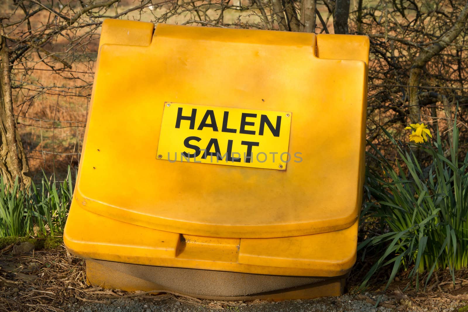 A bright yellow plastic container with a lid and a sign with the words 'Salt Halen' and a daffodil plant next to it.