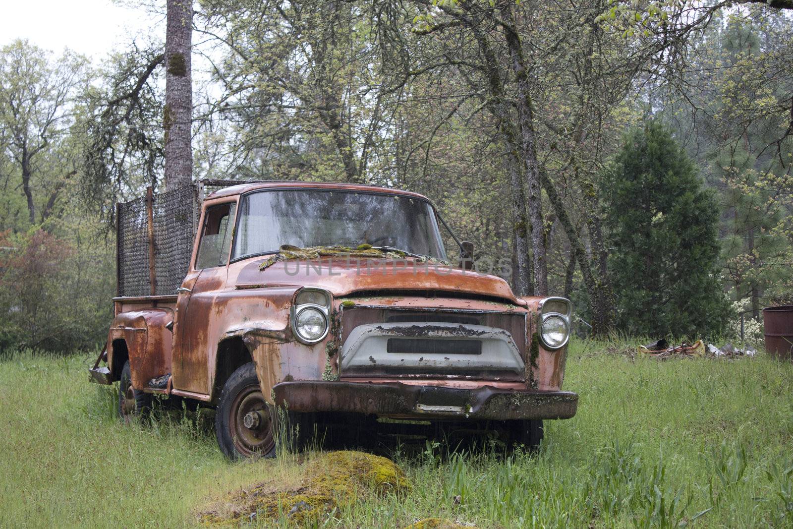 an old rusty truck in the forest during rain.