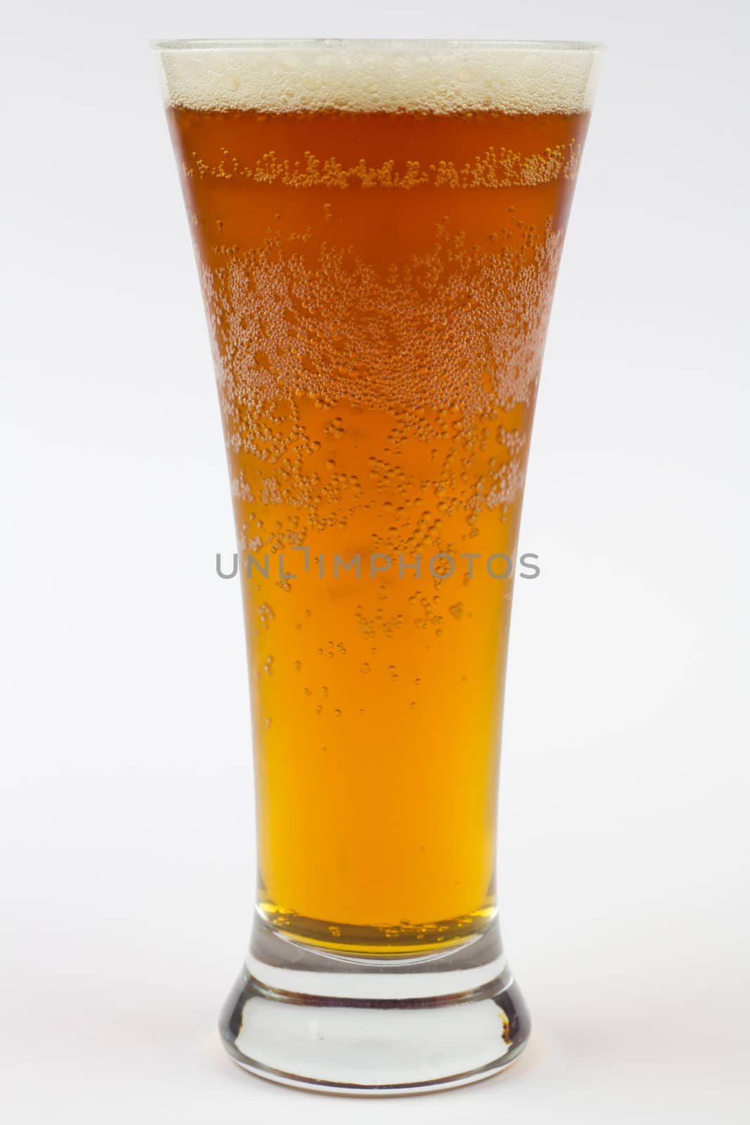 A glass of ice cold beer