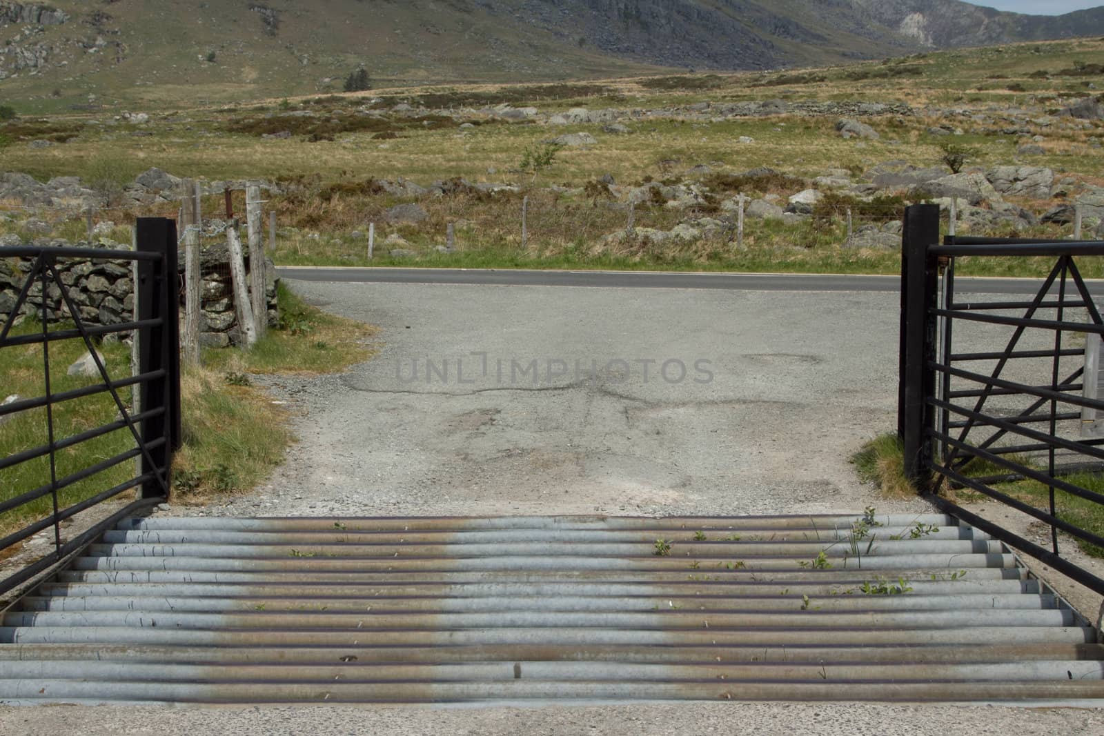 A metal cattle grid across an access point with black gates and concrete leading to the main road.