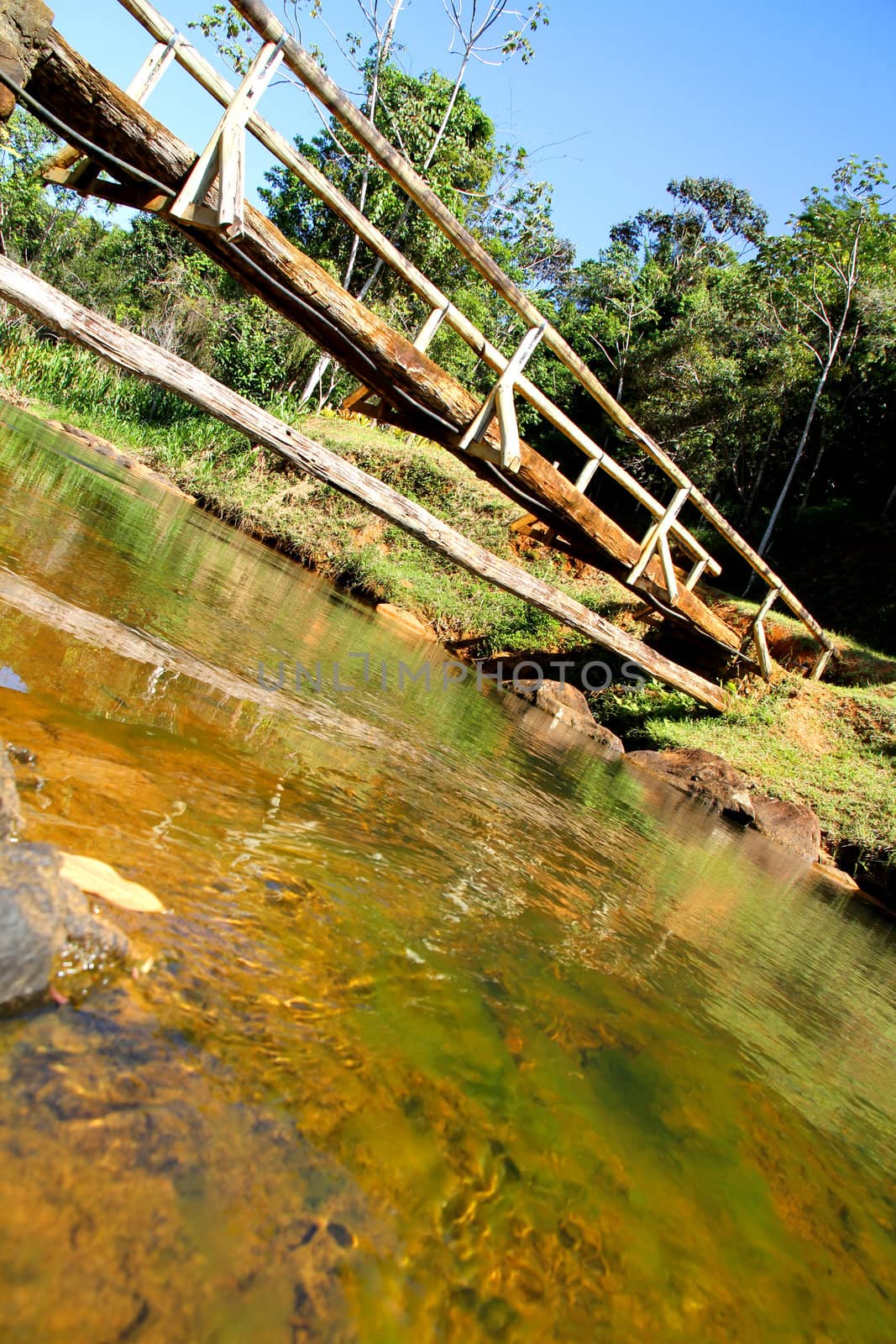 Wild river in Bahia, Brazil, South america.