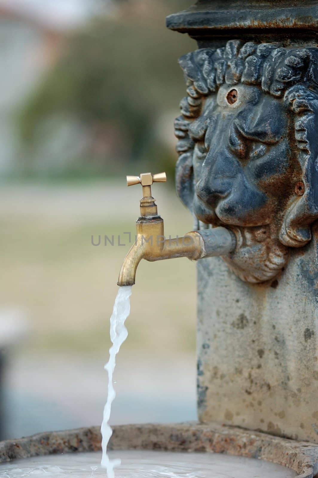 lion head water fountain