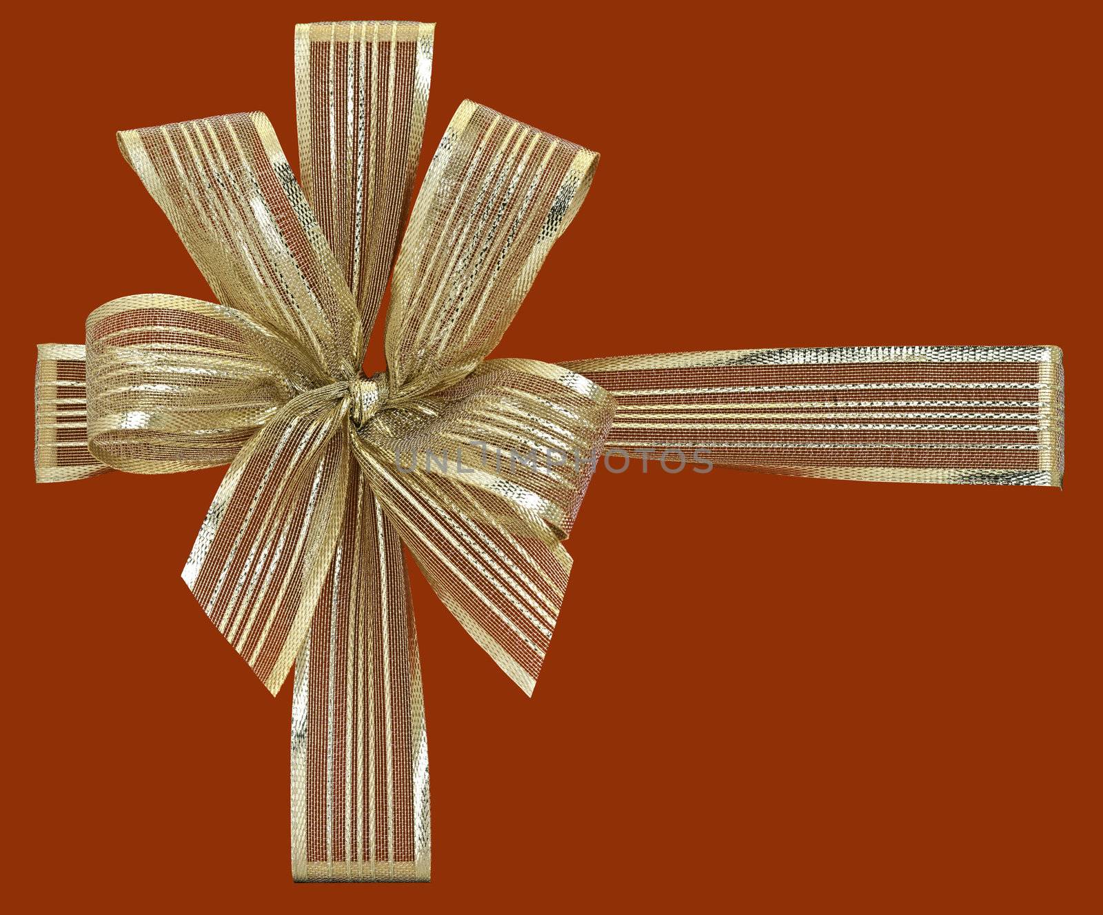 gold gift ribbon  by pbombaert