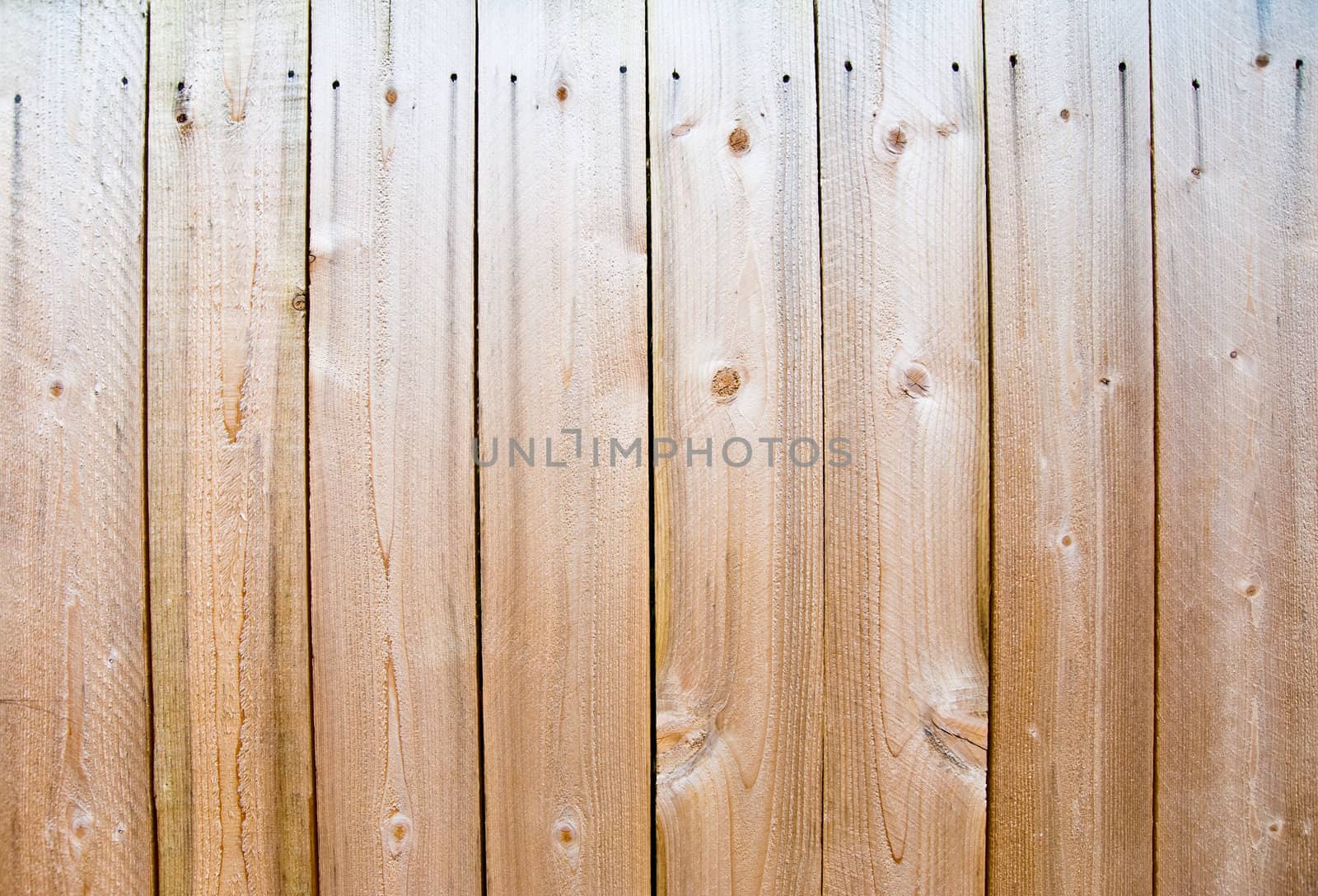 Wood fence