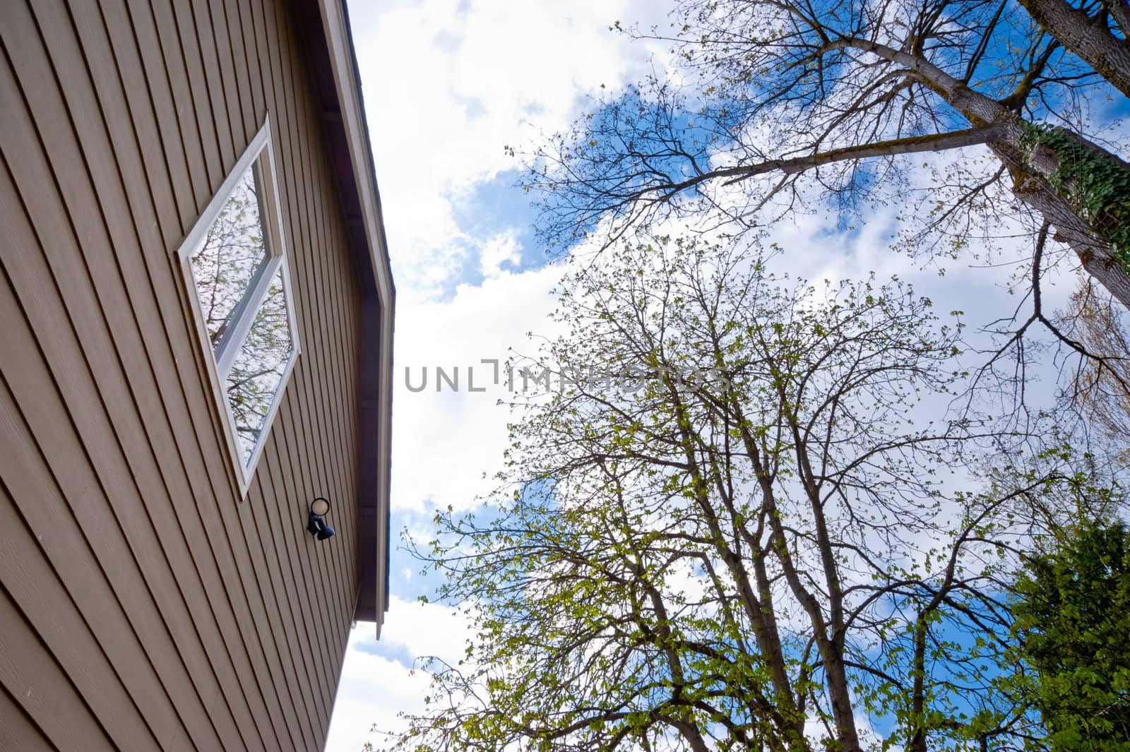 Looking up at a house, sky and trees